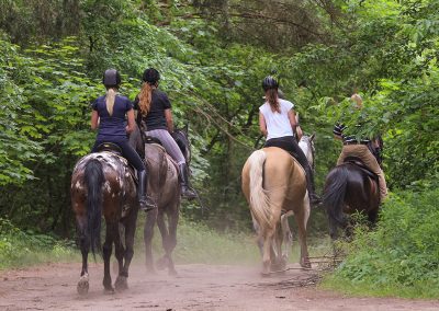 Montellano, un magnífico lugar para descansar